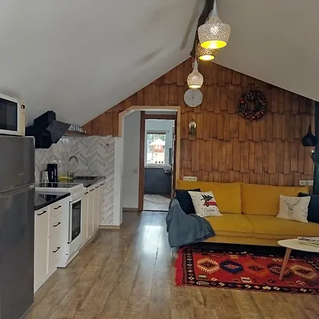 Ґонта - Котедж З Виглядом На Гори,Тераса,Балкон Slavske Exterior photo